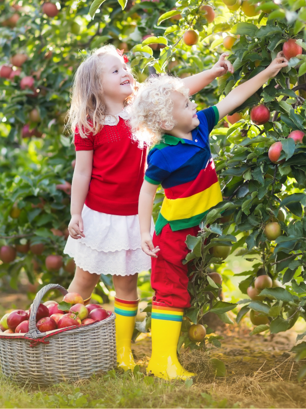 Two young children picking apples together—an example of how parents can support elementary math through outdoor activities.